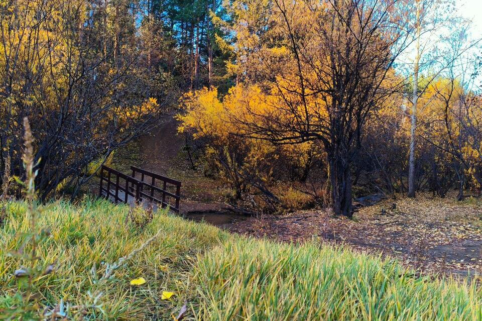 Гороскоп для жителей Забайкальского края на 21 октября