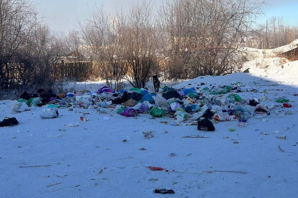 Могочинцы устроили свалку мусора, игнорируя новую контейнерную площадку