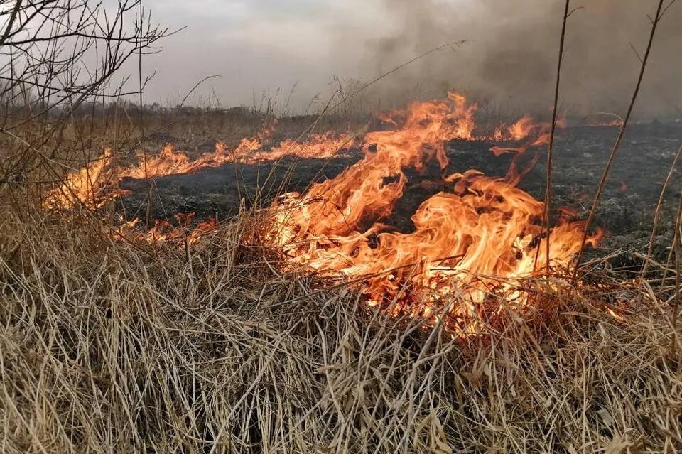 Крупный степной пожар полыхает в Балее