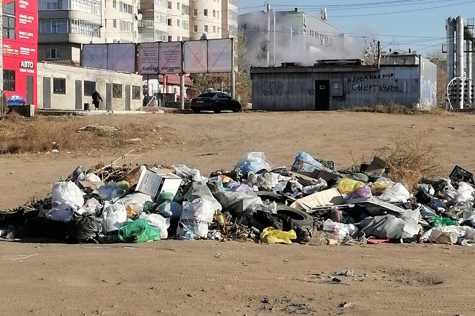 Кучу мусора заметили в центре Читы