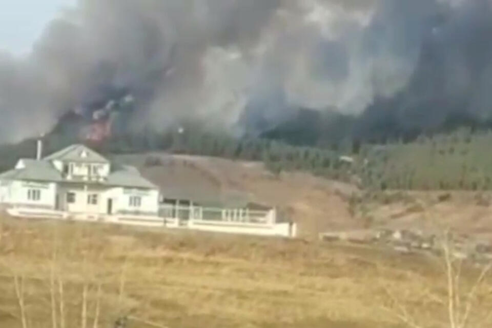 Крупный лесной пожар действует неподалеку от Петровск-Забайкальского
