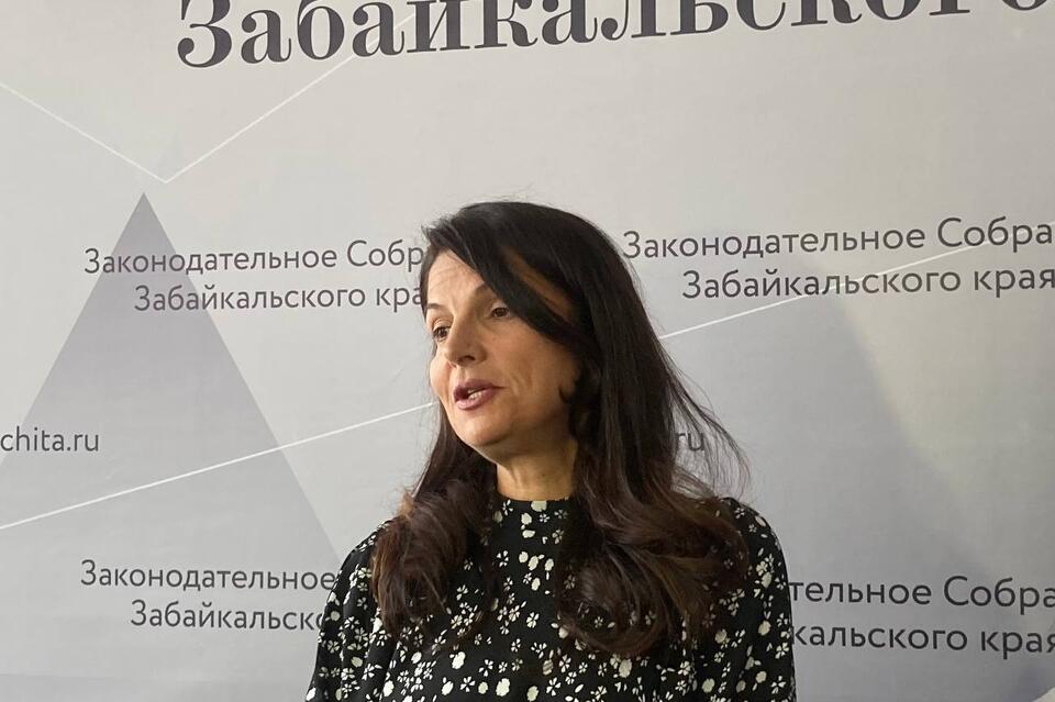 Назначен новый председатель комитета по экономической политике парламента Забайкалья