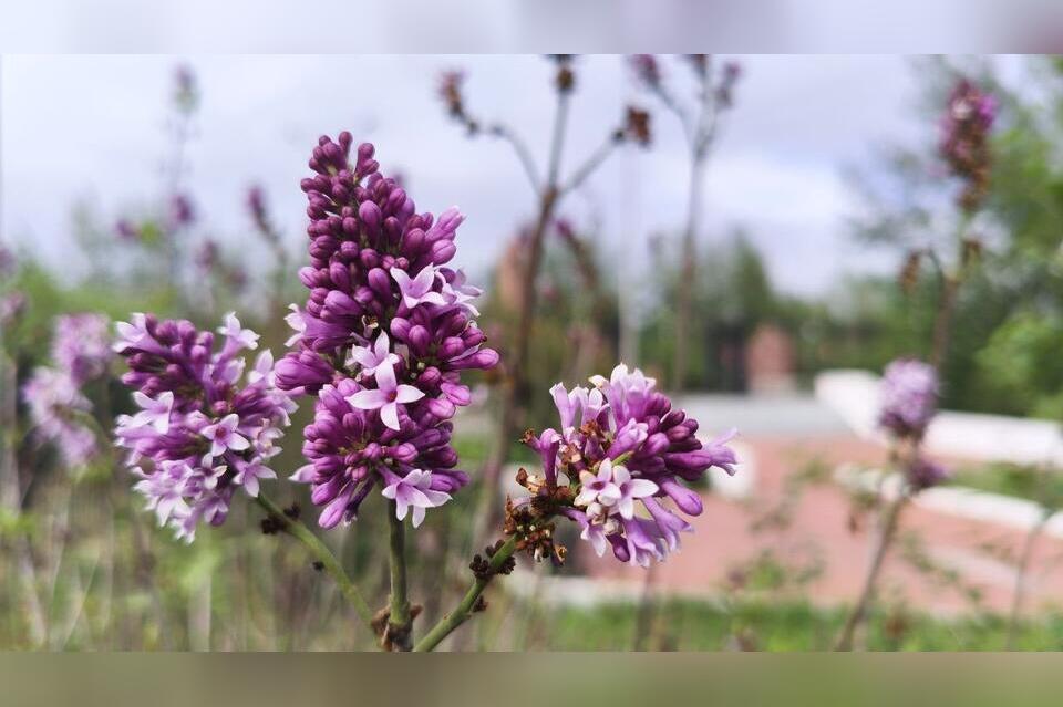 Гороскоп для жителей Забайкальского края на 2 сентября