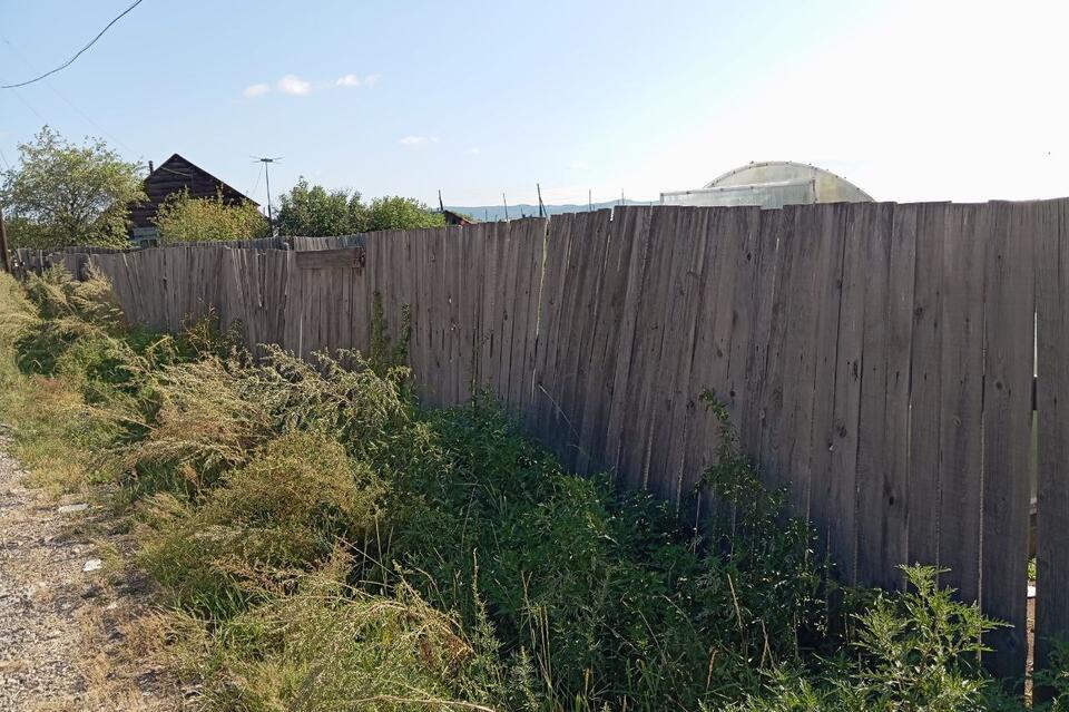 Более тысячи объектов, прилегающих к лесному фонду, проверили в Забайкалье