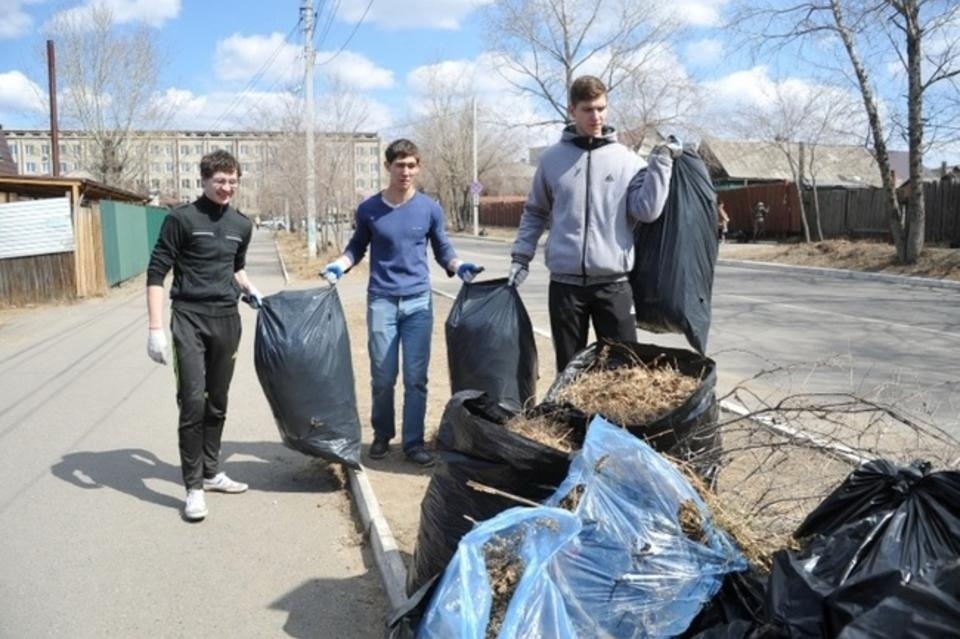 Уборка осенней листвы ведёт к гибели растений – мнение экспертов
