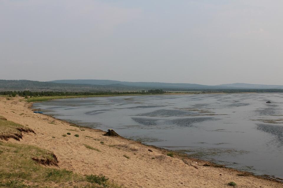 Мёртвой рыбой усыпан берег озера Большой Ундугун