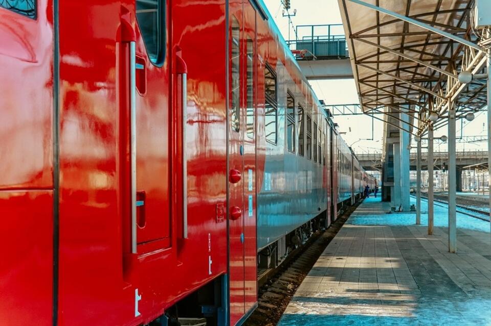 Пассажирские поезда задержали из-за схода грузовых вагонов на ЗабЖД