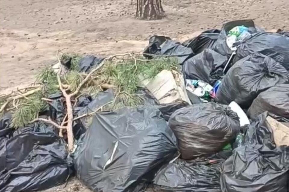 Мешки с мусором заметили в лесу Читы