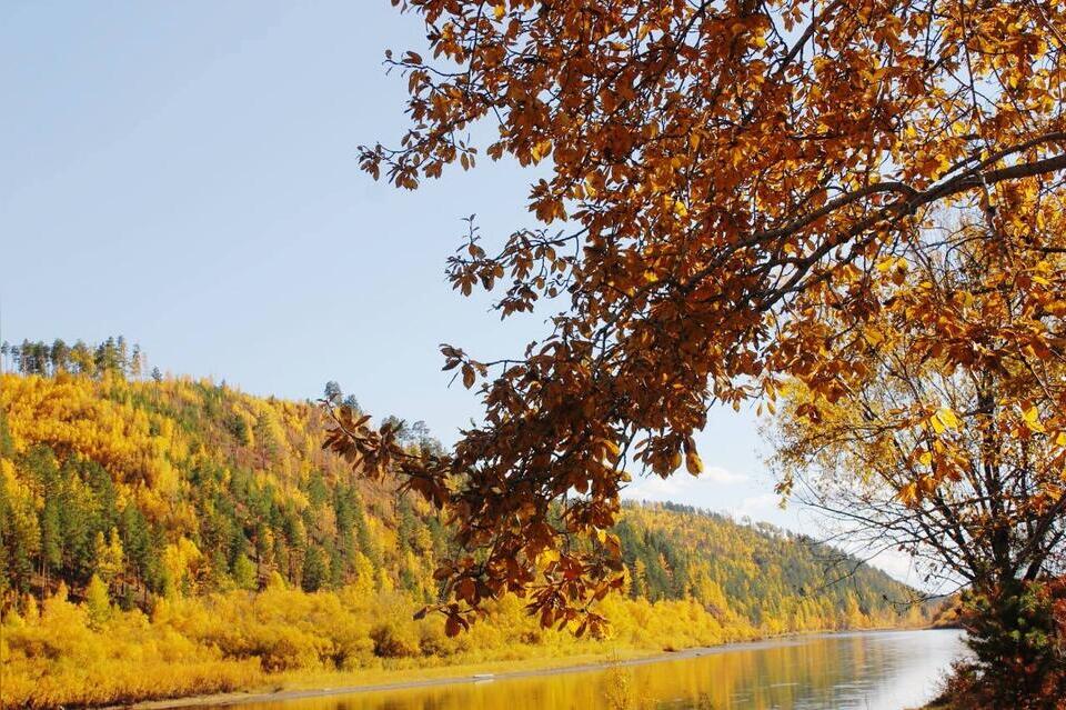 Гороскоп для жителей Забайкальского края на 22 сентября