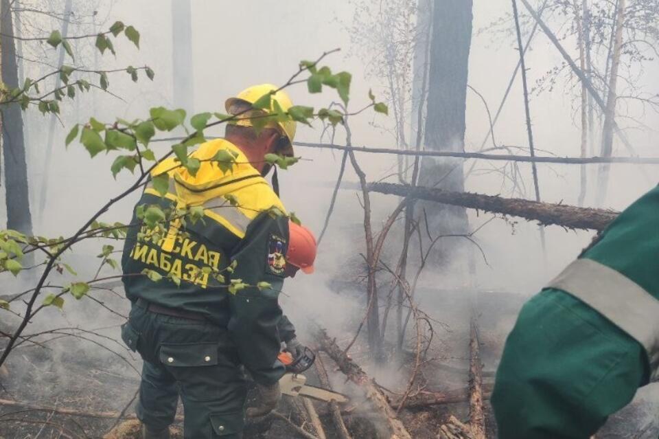 Лесные пожары действуют в двух округах Забайкалья