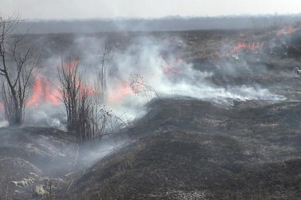 Прогноз пожарной опасности на территории Забайкалья на 10 июня