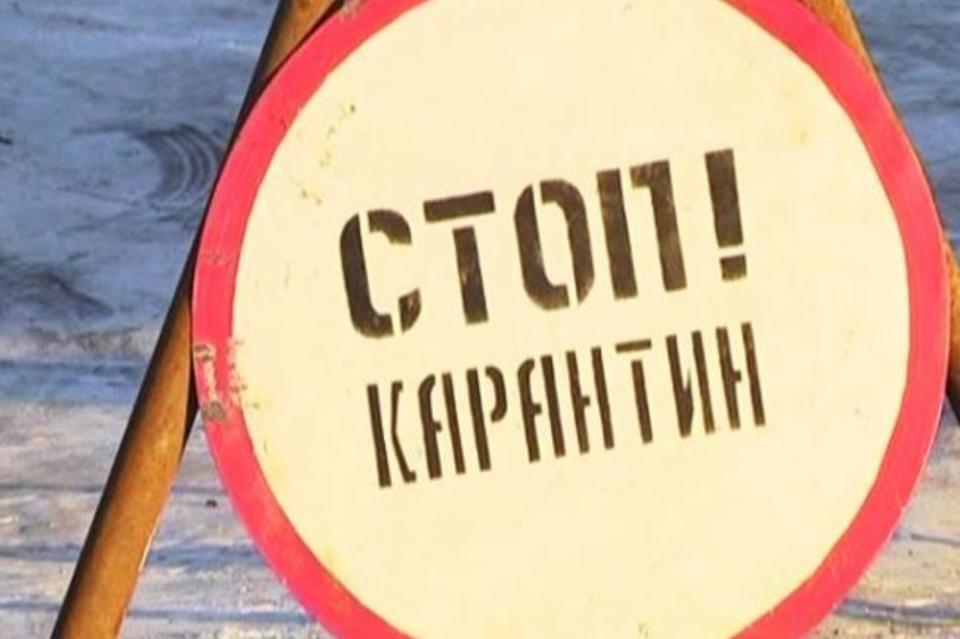 Правила въезда в РФ для прибывших из-за границы Россиян изменились