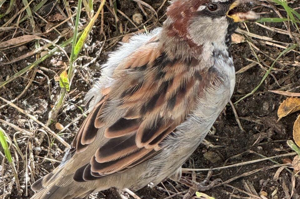 Прокуратура начала проверку по факту вспышки опасного заболевания