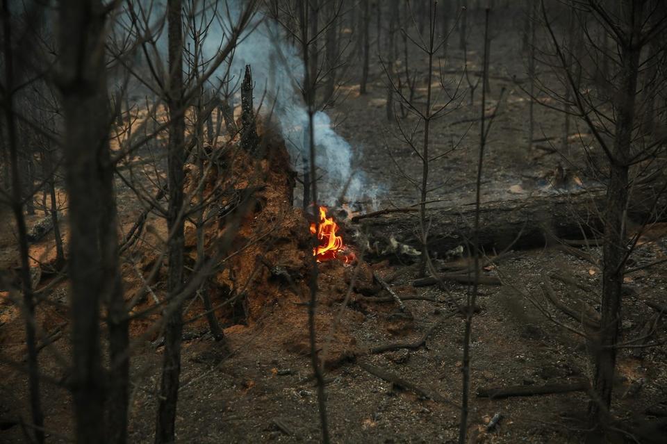 Первые пожары могут начаться уже в марте – новый глава «Забайкаллесхоза»