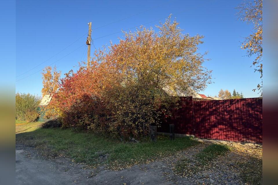 Гороскоп для жителей Забайкальского края на 28 сентября