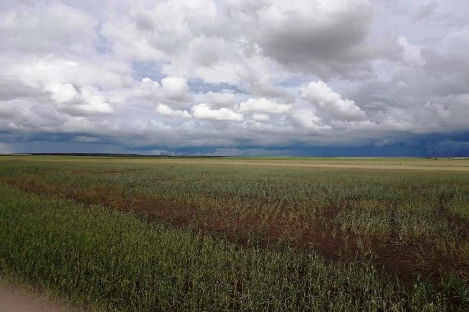 Новый завод запустят в Забайкалье
