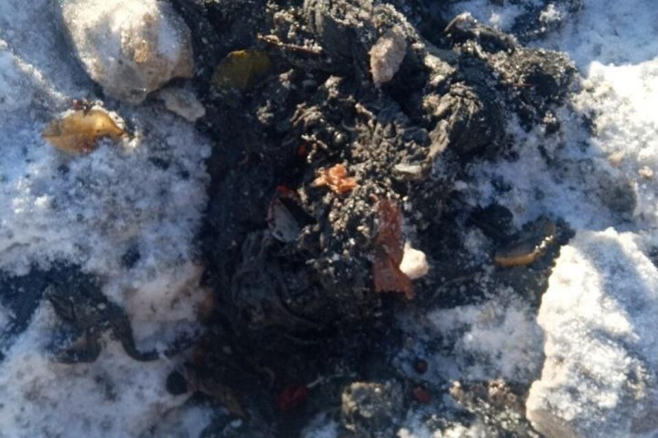 Канализация разлилась в центре города из-за засора