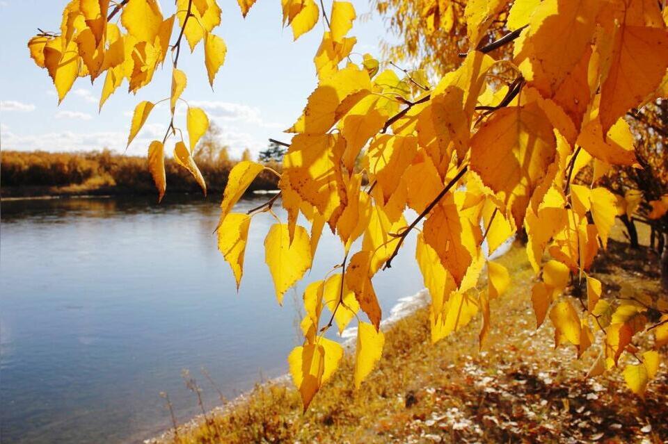 До 23 градусов тепла ожидается в Забайкалье