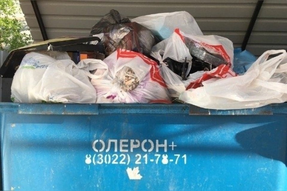 В Забайкалье предложили найти организацию-транспортировщика по вывозу мусора