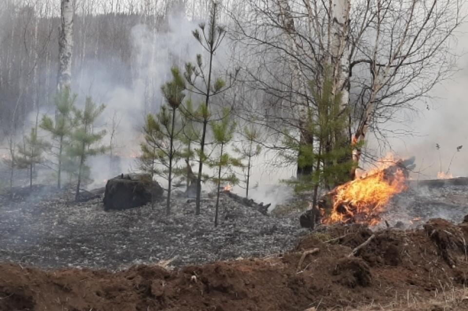 Пожарные ликвидировали возгорание 23 гектаров леса в Хилокском районе