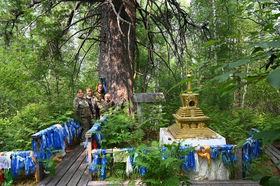 Уникальный кедр станет новым памятником природы