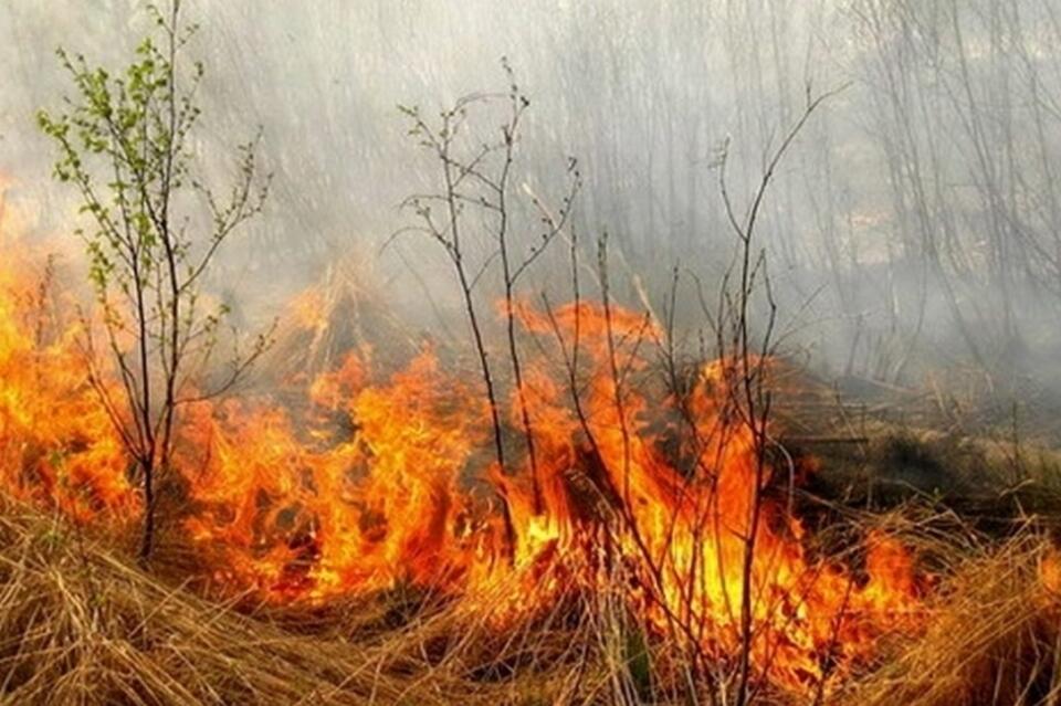 Особый противопожарный режим введён в 32 районах Забайкалья