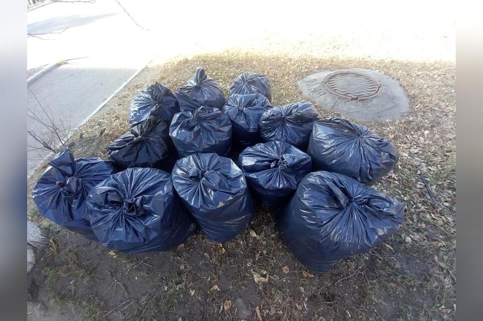 Щегловой предложили избавиться от помешочного сбора мусора