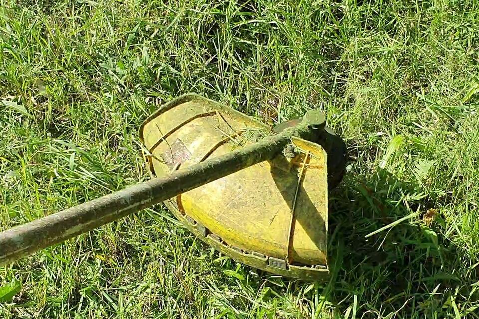 Мэрия отчиталась о скосе травы в городе