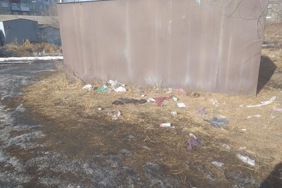 «Какая-то новая инсталляция»: жительница Песчанки о мусоре около школы №10