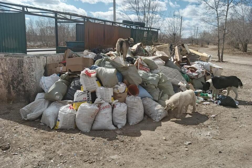 Стихийную свалку обнаружили в одном из дворов Черновского района