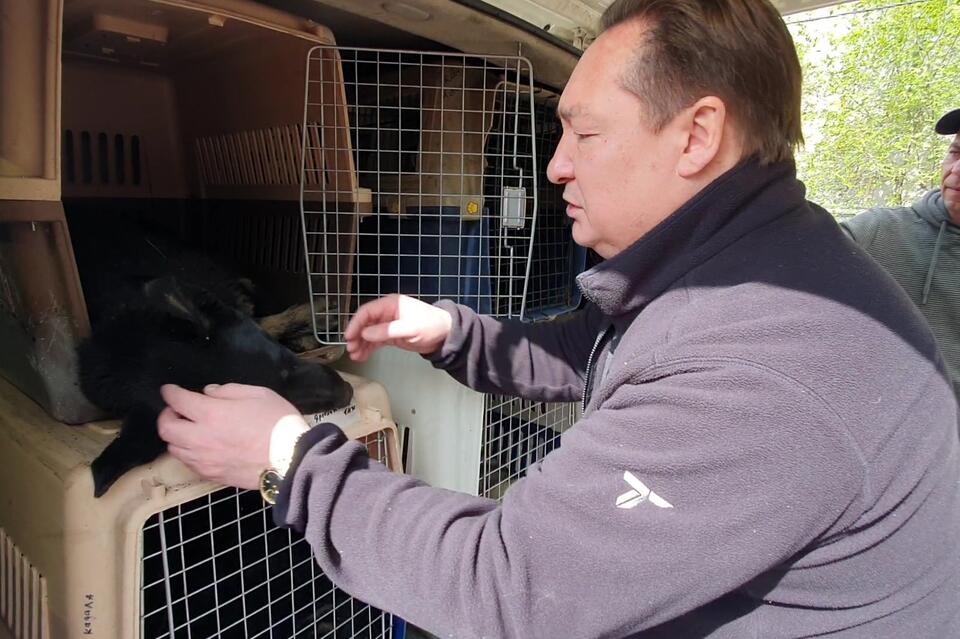 Адвокат владельца «Пяти звезд» считает его освобождение из СИЗО правильным