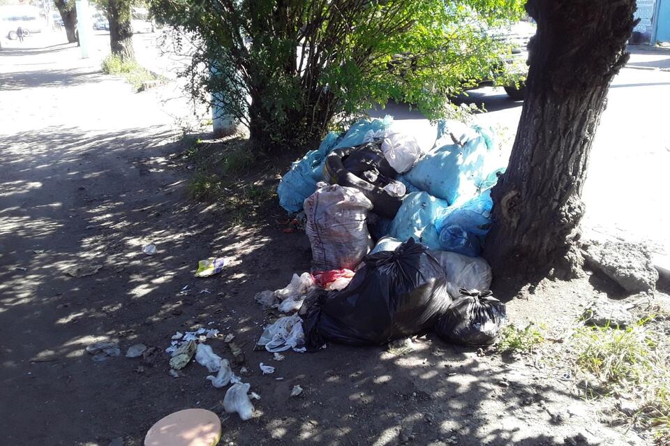 Железнодорожный район Читы завалили мусором