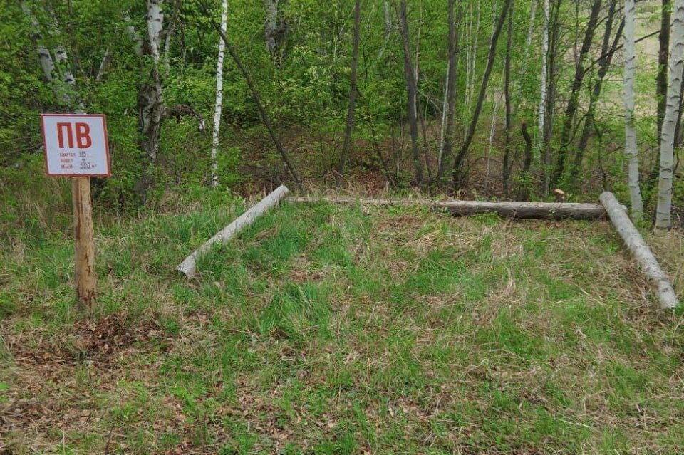 На территории Чернышевского участка проводятся противопожарные мероприятия