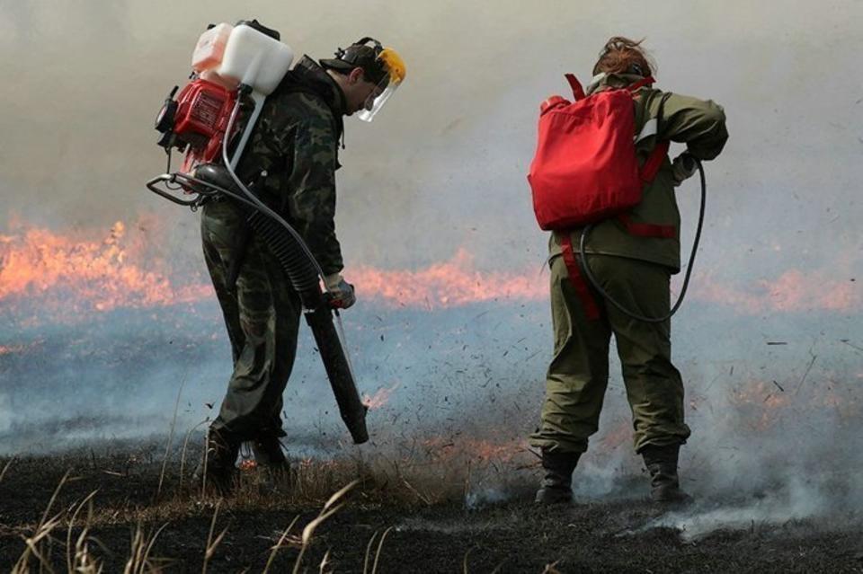Лесные пожарные заявляют о локализации крупного пожара
