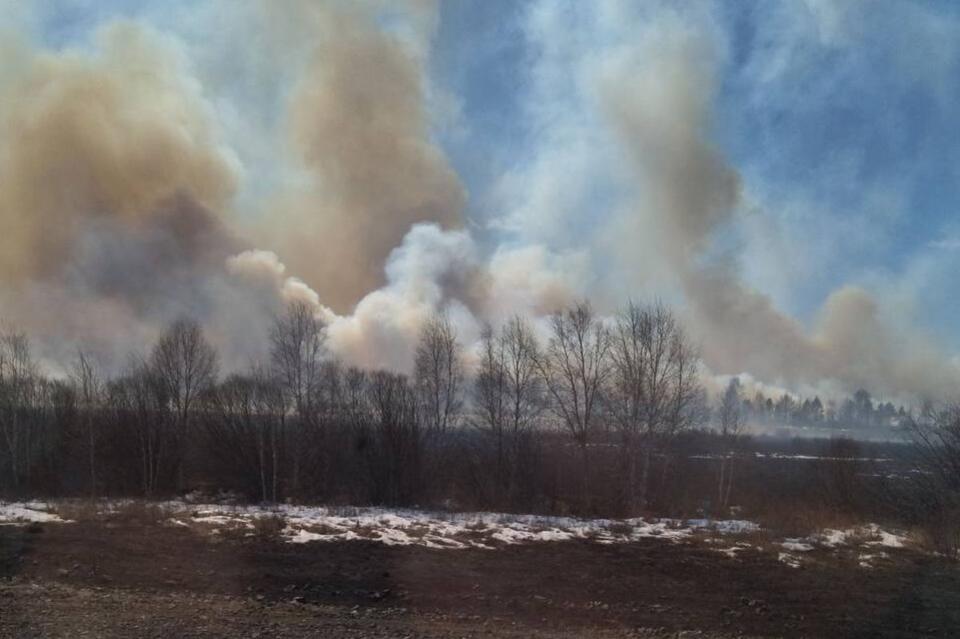 В Акшинском районе введен режим ЧС из-за большого лесного пожара
