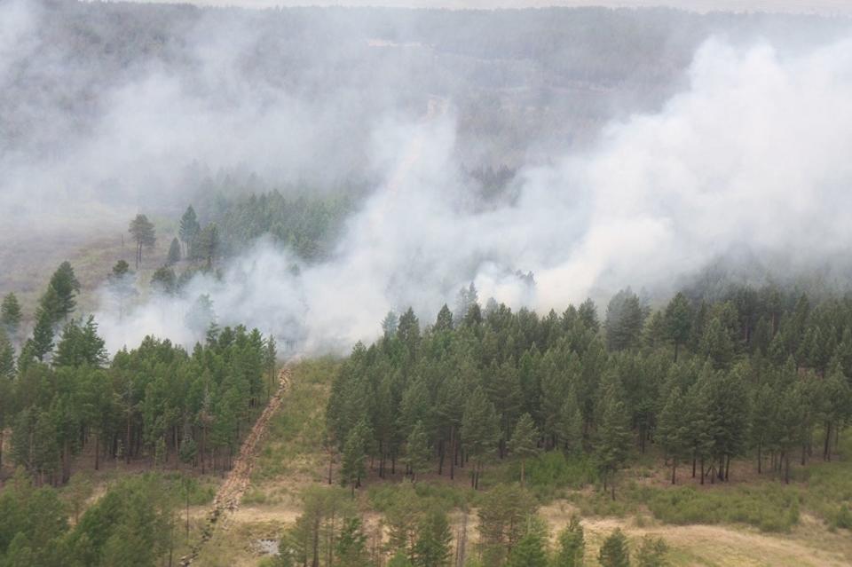 По вине сотрудников «Забайкаллесхоза» произошёл лесной пожар