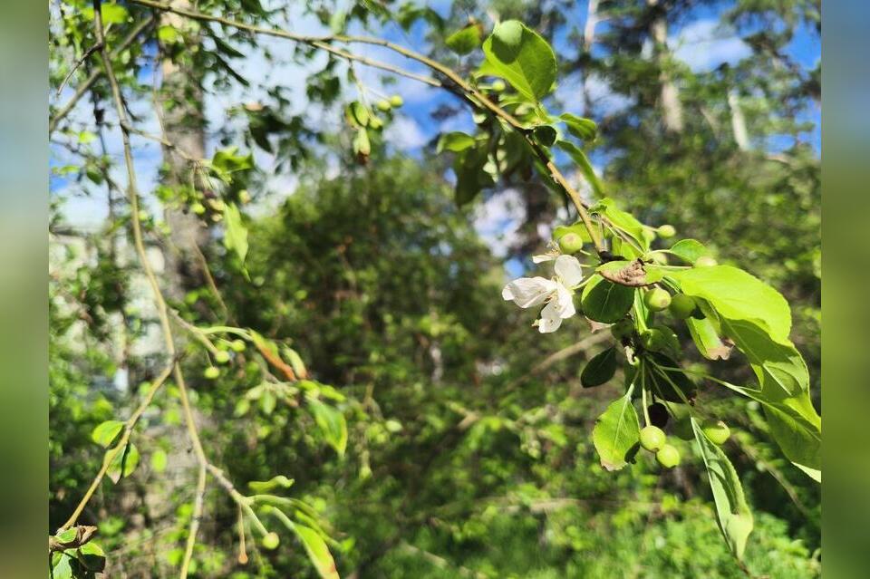 Гороскоп для жителей Забайкальского края на 11 августа