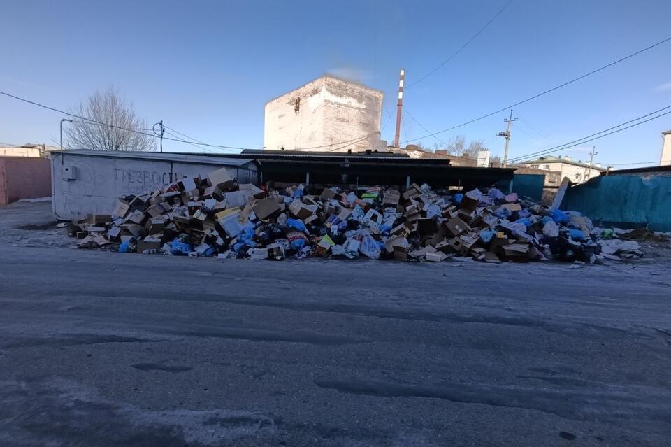 Могоча зарастает мусором