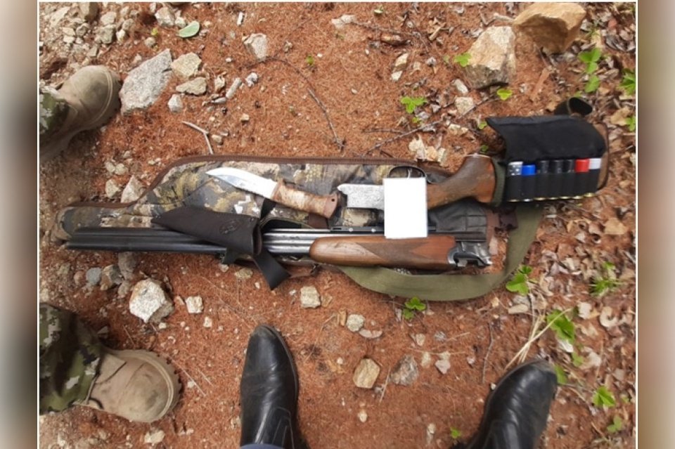 Забайкальские охотники на волков получат почти 1 млн рублей в марте