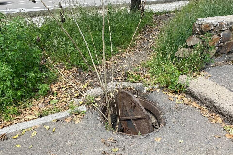 Жители ЗабВО обозначили веткой тополя открытый люк канализации