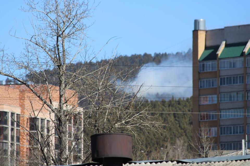 Лес загорелся за Сосновым бором в Чите