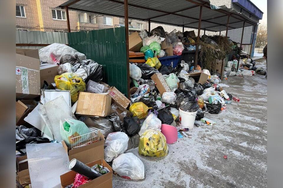 В «Экобот Забайкалья» поступило 89 сообщений от местных жителей