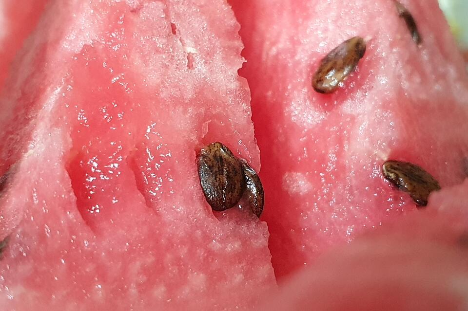 В Забайкалье стали поставлять больше арбузов и дынь из Китая