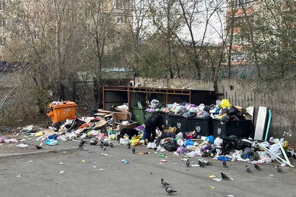 Читинский двор погряз в мусоре