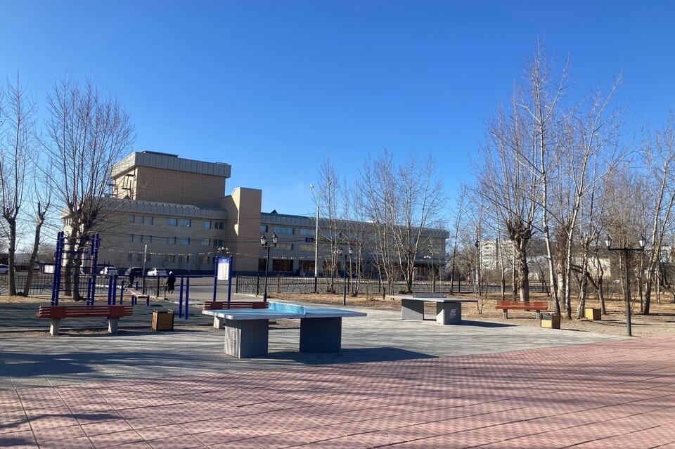 Читинские зоозащитники будут протестовать против умерщвления собак