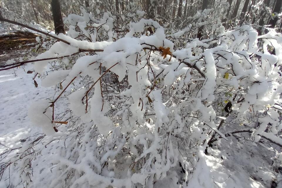 Гороскоп для жителей Забайкальского края на 7 декабря