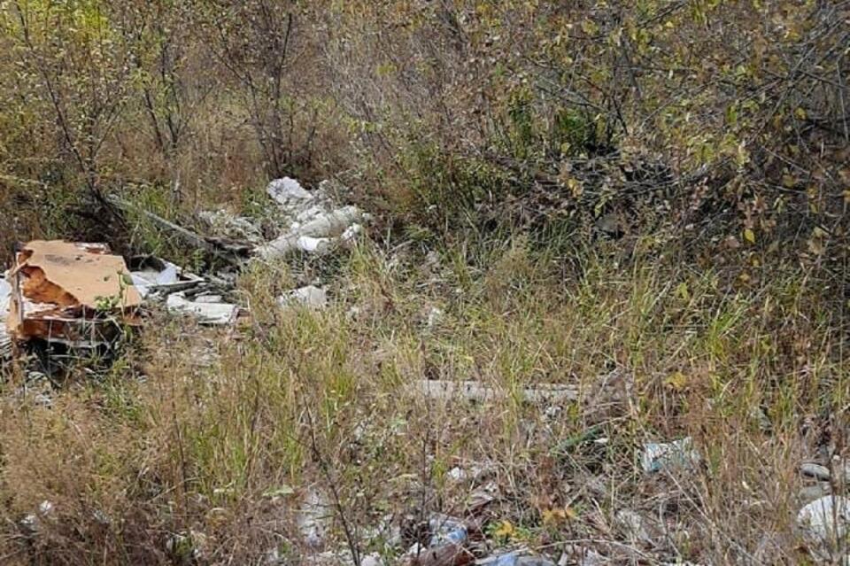 «Сухотинская группа стоянок» на Титовской сопке в Чите зарастает мусором