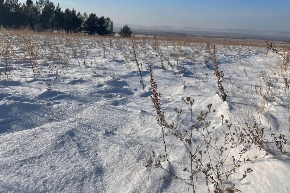 Небольшой снег ожидается завтра в Забайкалье