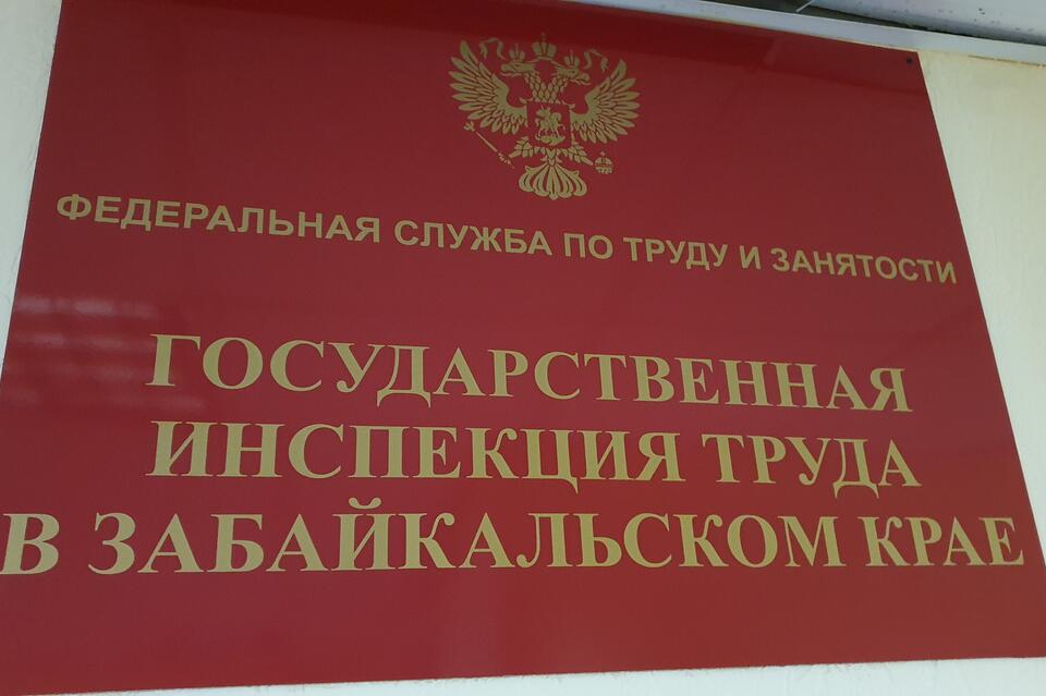 Трудовая инспекция заинтересовалась инцидентом с лесным пожарным