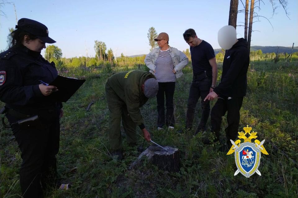 Забайкалец пойдёт под суд за незаконную рубку леса на 7,5 млн рублей